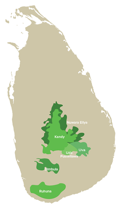 Central Highlands Of Sri Lanka Map Ceylon Tea | The History Of Ceylon Tea - Unicom Tea - Sri Lanka